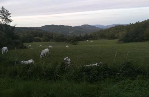 Da Santina - Photo 24