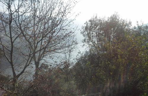 Casa do Alto - Foto 28