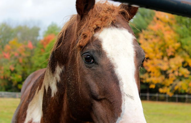 Denmark Stage Stop House - Photo 75