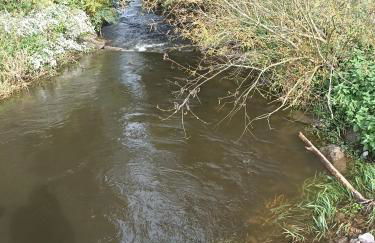 EBS Paradies - Foto 43