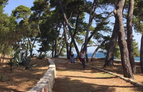 Apartment Šoša - Photo 18