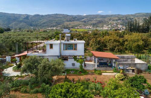 Eliva house - Foto 40