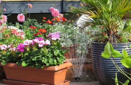 Ferienwohnungen Familie Schwarze - Foto 8