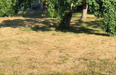 Ferienimspessart OG - Foto 39