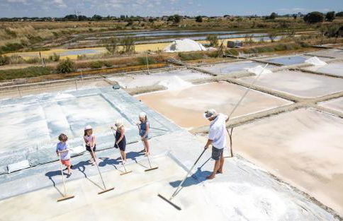 Les Pins - 3 pièces - Vue sur piscine - 600m mer - Les Sables d'Olonne - Foto 38