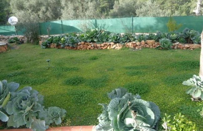 Mountain Hut - Foto 9