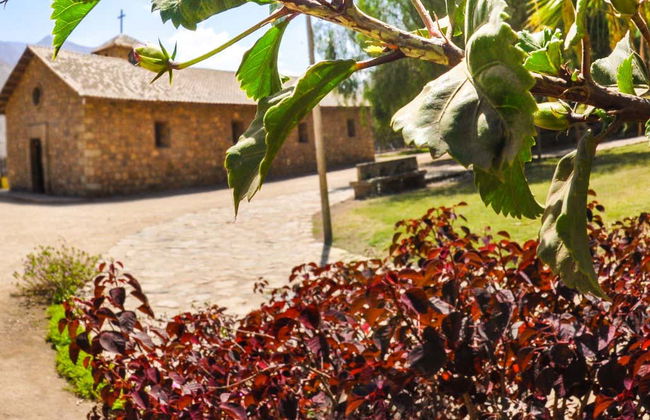 Excursión a Santa Rosa de Quives y Canta - Foto 8
