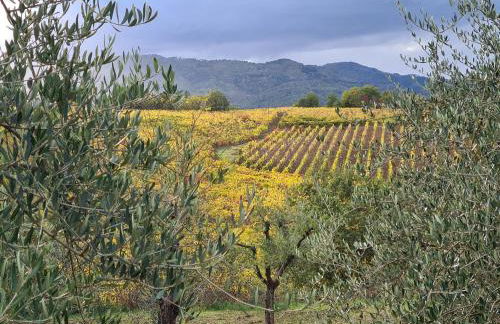 Casa Colonica - Foto 43