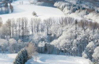 Rezydencja Bieszczady - Solina - Foto 13