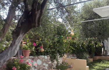 Level Houses - Foto 14