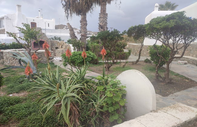 Ornos Beachside 2 Bd Stylish House - Photo 33