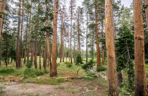 Woodwinds 32 - Foto 47