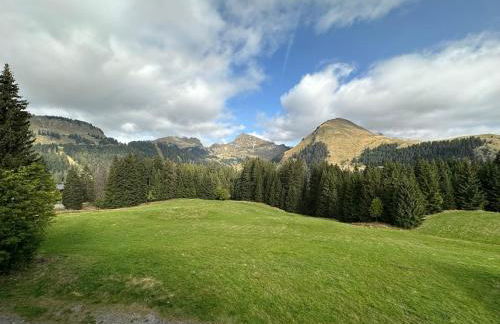 Studio au cœur du Praz-de-Lys - Les Pralyssimes - Foto 18