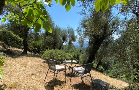 Le Mas Sainte Thérèse - Foto 33