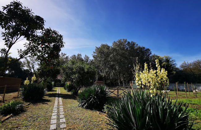 Quinta do Louredo - Photo 56