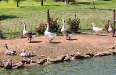 CantinhoAbençoado716 - Flat no Winterville Gravatá - Piscinas Aquecidas, Lago e Parquinhos - Foto 42