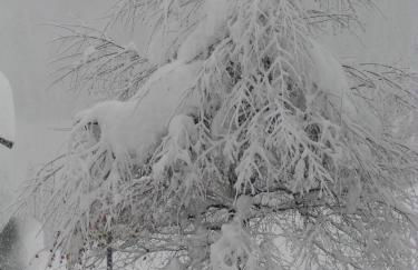 Apartments Residence Alta Badia - Foto 24