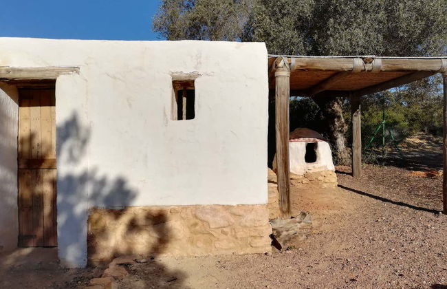 Visita guiada pela Moleta del Remei - Foto 4