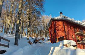 Attico Stella Alpina - Foto 18