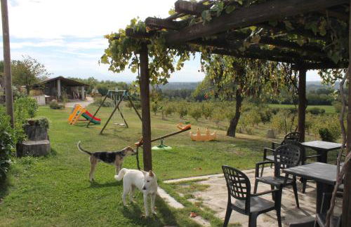 Agriturismo Il Palazzetto - Foto 29