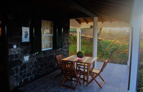 Casa Amaral - Photo 8