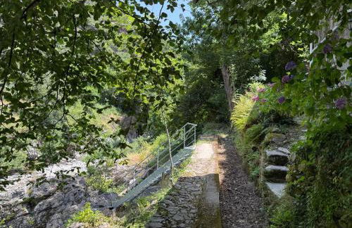 Les Cèdres - Foto 63