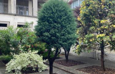 senza pensieri via 4 novembre/via diaz - Foto 12