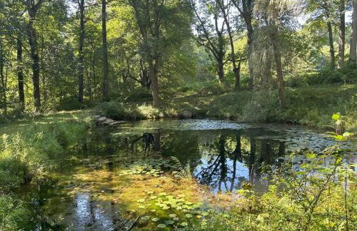 Historic Farm on 96 Acres! - Foto 23