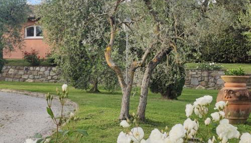 La Casa delle Rose - Foto 2, Garden, Garden view