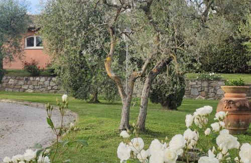 La Casa delle Rose - Photo 2