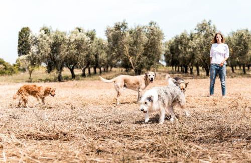 Masseria Prosperi - Photo 64