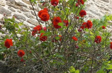 Gite de l'Oeil - Foto 19