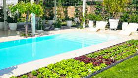 Luxurious large home with Pool, Garden, Koi Pond only 12 min to Octoberfest - Foto 5
