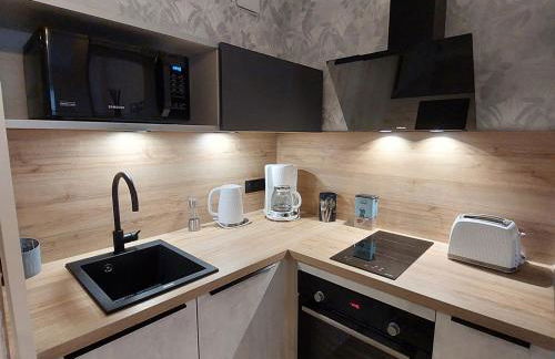 Studio au calme, plage et centre à pied, jardinet ensoleillé, parking privé - FR-1-550-51 - Foto 8