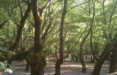 Kleitor Stone Villa-Peloponnese Getaway - Foto 80