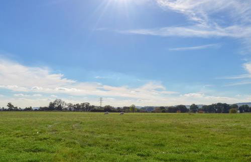 The Old Bull Pen - Photo 23