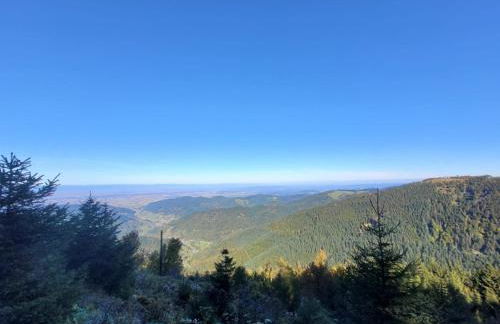 Ferienhof Fischer - Foto 68