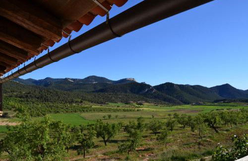 Mas de Salvador - Foto 35