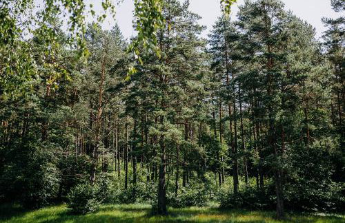 Myśliwska chata na skraju lasu - Foto 38