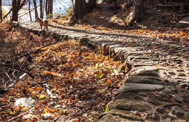 La Torretta 2 sul Lago Maggiore - Photo 45