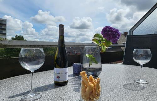 Penthousewohnung 62 im Haus Villa Anna - Foto 6