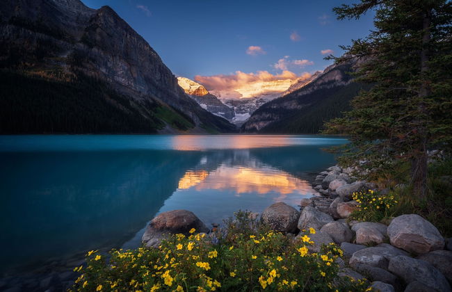 One Studio with BBQ & a Huge Patio - Photo 30