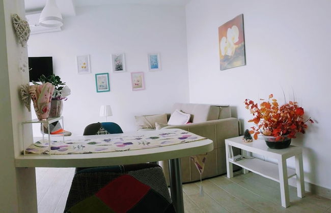 Guest house Djonovic - Foto 49