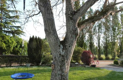 Country house for animals and nature lovers - Photo 20