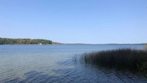 Wild Refuge Lodge - Foto 5