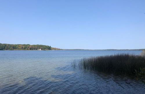 Wild Refuge Lodge - Foto 5