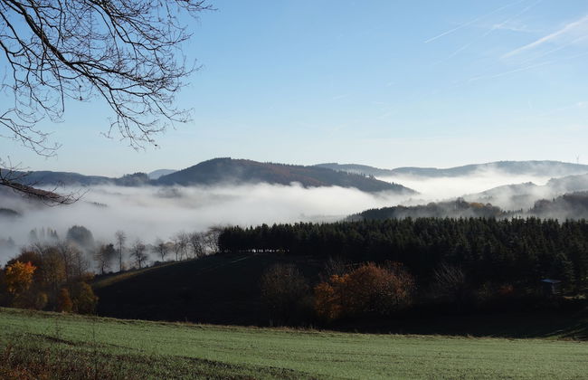 Speedys Gästehaus - Foto 32