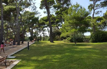 Apartments Suha Punta - Villa Babalonija - Photo 43