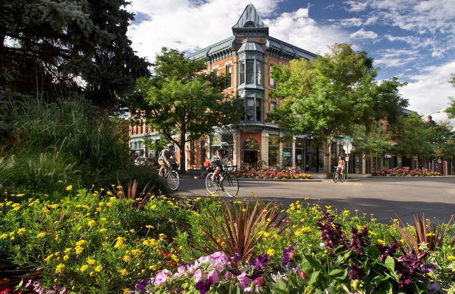 Ultimate Chill Zone | Bbq, Bikes, Pet Friendly!! - Foto 20