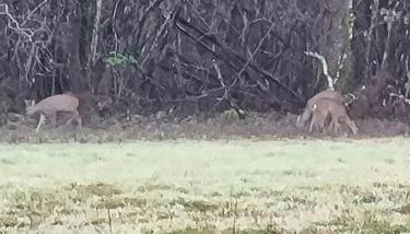 Les maisons de la feuillade - Foto 2